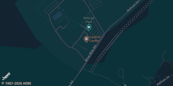 Map showing Castine Center in Pelican Park in Mandeville, LA.